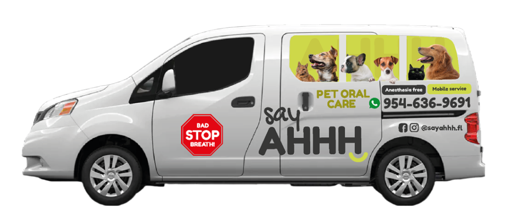 pet oral care mobile service